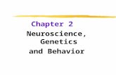 Chapter 2 Neuroscience, Genetics and Behavior. Neural Communication  Biological Psychology  branch of psychology concerned with the links between biology.