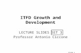 Slide 1 ITFD Growth and Development LECTURE SLIDES SET 3 Professor Antonio Ciccone.
