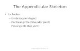 © 2015 Pearson Education, Inc. The Appendicular Skeleton Includes: – Limbs (appendages) – Pectoral girdle (Shoulder joint) – Pelvic girdle (hip joint)