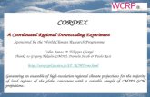 CORDEX A Coordinated Regional Downscaling Experiment A Coordinated Regional Downscaling Experiment Sponsored by the World Climate Research Programme Sponsored.