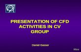 PRESENTATION OF CFD ACTIVITIES IN CV GROUP Daniel Gasser.