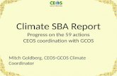 Climate SBA Report Progress on the 59 actions CEOS coordination with GCOS Mitch Goldberg, CEOS-GCOS Climate Coordinator.