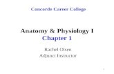 1 Anatomy & Physiology I Chapter 1 Rachel Olsen Adjunct Instructor Concorde Career College.