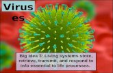 Virus es Big Idea 3: Living systems store, retrieve, transmit, and respond to info essential to life processes.