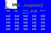 DNARNA Protein synthesis Not like the other History $10 $20 $30 $40 $50 DNA Jeopardy.