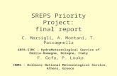 SREPS Priority Project: final report C. Marsigli, A. Montani, T. Paccagnella ARPA-SIMC - HydroMeteorological Service of Emilia- Romagna, Bologna, Italy.
