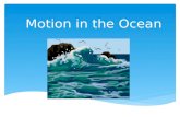 Motion in the Ocean. Ocean Currents Warm currents flow AWAY from the equator and towards the poles Cold currents flow TOWARDS the equator from the poles.