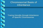 Chromosomal Basis of Inheritance Tracing Heredity through Inheritance of Specific Chromosomes.