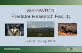 WS-NWRC’s Predator Research Facility Julie K. Young, Ph.D.