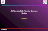Lithium Hydride Absorber Program Update Alan Bross.