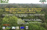 High drought-tolerance of an Eastern Amazon forest: results from a large scale rainfall exclusion Gina Cardinot 1,2, Daniel Nepstad 2,3, Missy Holbrook.