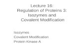 Lecture 16: Regulation of Proteins 3: Isozymes and Covalent Modification Isozymes Covalent Modification Protein Kinase A.