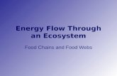 Energy Flow Through an Ecosystem Food Chains and Food Webs.