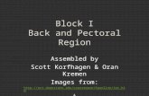 Block I Back and Pectoral Region Assembled by Scott Korfhagen & Oran Kremen Images from:  & NetAnatomy.com.