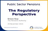 Public Sector Pensions The Regulatory Perspective Grace Guy The Pensions Authority 20 November 2014.