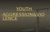 YOUTH AGGRESSION & VIOLENCE AGGRESSION & VIOLENCE.