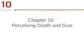 Chapter 10: Perceiving Depth and Size. Figure 10-1 p228.