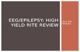 Your Epi Fellows EEG/EPILEPSY: HIGH YIELD RITE REVIEW.