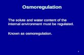 1 Osmoregulation The solute and water content of the internal environment must be regulated. Known as osmoregulation.