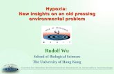Hypoxia: New insights on an old pressing environmental problem Hypoxia: New insights on an old pressing environmental problem Rudolf Wu School of Biological.