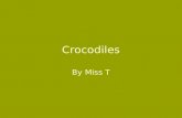 Crocodiles By Miss T. Contents Page Habitat Appearance Prey / Predators Communicating Endangered? Sources of Information.