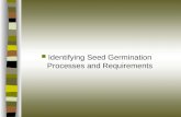 Identifying Seed Germination Processes and Requirements.