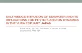 SALT-WEDGE INTRUSION OF SEAWATER AND ITS IMPLICATIONS FOR PHYTOPLANKTON DYNAMICS IN THE YURA ESTUARY, JAPAN Kasai et al., (2010). Estuarine, Coastal, &