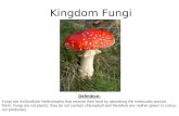 Kingdom FungiDefinition: Fungi are multicellular heterotrophs that receive their food by absorbing the molecules around them. Fungi are not plants; they.