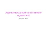 Adjectives/Gender and Number agreement Notes #17.