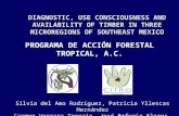 DIAGNOSTIC, USE CONSCIOUSNESS AND AVAILABILITY OF TIMBER IN THREE MICROREGIONS OF SOUTHEAST MEXICO PROGRAMA DE ACCIÓN FORESTAL TROPICAL, A.C. Silvia del.