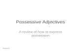 Possessive Adjectives A review of how to express possession AMV@MVHS.