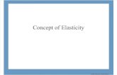 Lecture 4 Elasticity