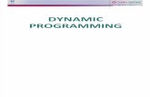 OD Dynamic Programming LARGE 2010