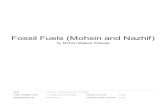 Fossil Fuels (Mohsin and Nazhif)