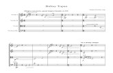 Bubuy Topan for String Quartet
