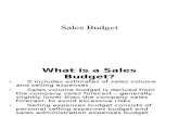 Sales Budget New