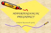 Hipertension in Pregnancy - Dr. Ririel K, Sp OG