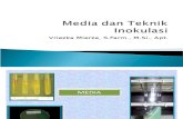 Media Dan Teknik Inokulasi