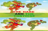 THE HARE story