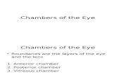 Histology of the Eye: Chambers & Refractile Media
