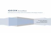 Geox - Main Project