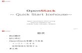 Openstack Quickstart Icehouse