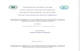 Informe de Prospeccion Ambiental de Pisco Paracas-ica_villalobo_fatima