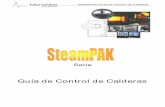 Boiler Control Primer_Sp
