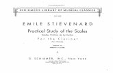 Stievenard Study Scales