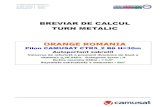 Breviar de Calcul Pilon CTR5-2 B6 30m 9mp 0.5kPa