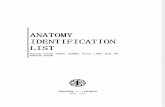 Anatomy Identification List