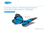 Salesforce Campaign Implementation Guide