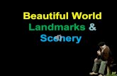 Beautiful World - L