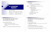F03 I LymphaticSystem